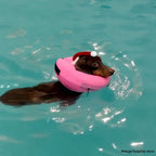 Inflatable Dog Recovery Ring