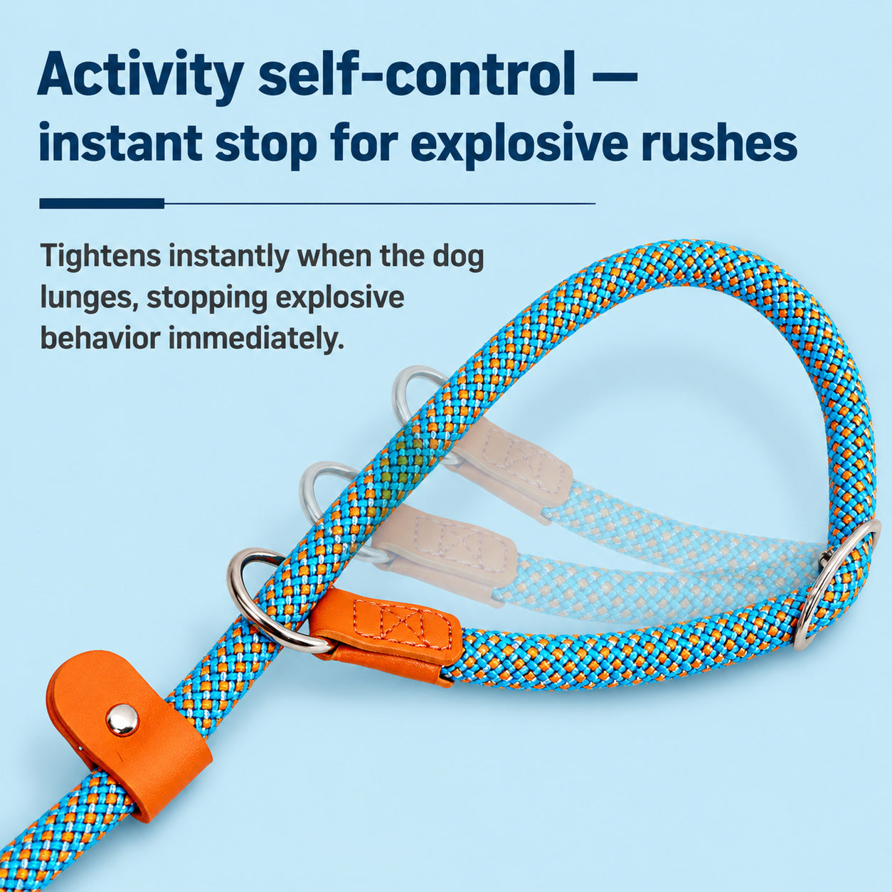Reflective No-pull Slip Lead