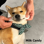 Swirl Bow Bandana Collar