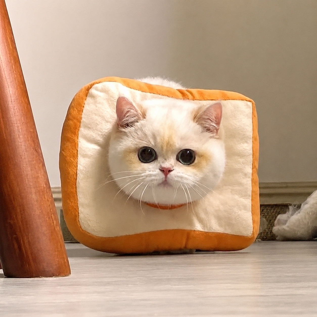 Plush Toast Soft Pet Neck Pillow