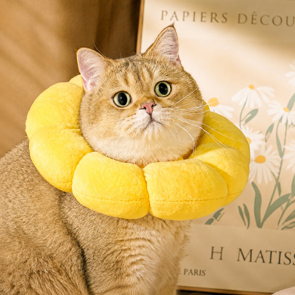 Daisy Donut Soft Pet Neck Pillow