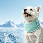 Cooling Neck Scarf Collar