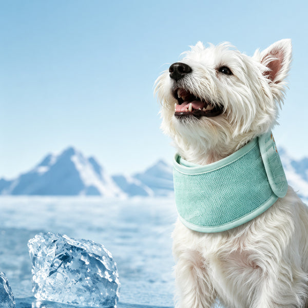 Cooling Neck Scarf Collar
