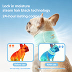 Cooling Neck Scarf Collar
