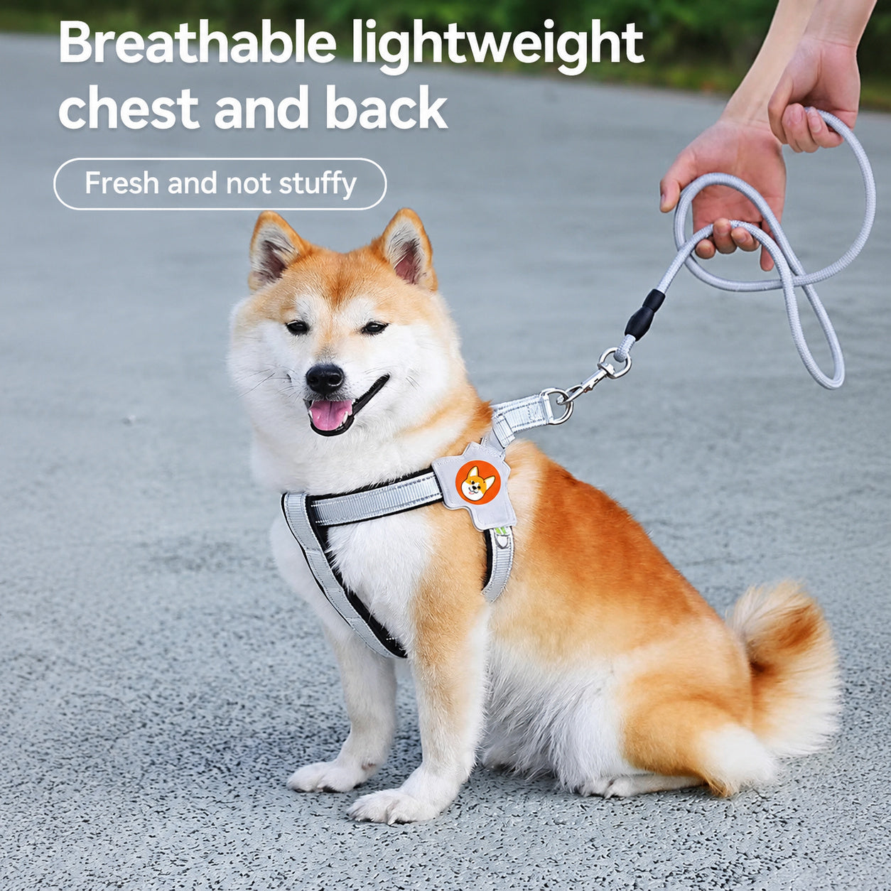 Y-Shape Reflective Dog Harness