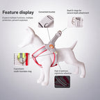 Y-Shape Reflective Dog Harness