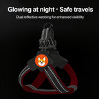 Y-Shape Reflective Dog Harness
