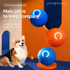 Smart Glow Bounce Dog Ball