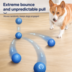 Smart Glow Bounce Dog Ball