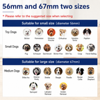 Smart Glow Bounce Dog Ball