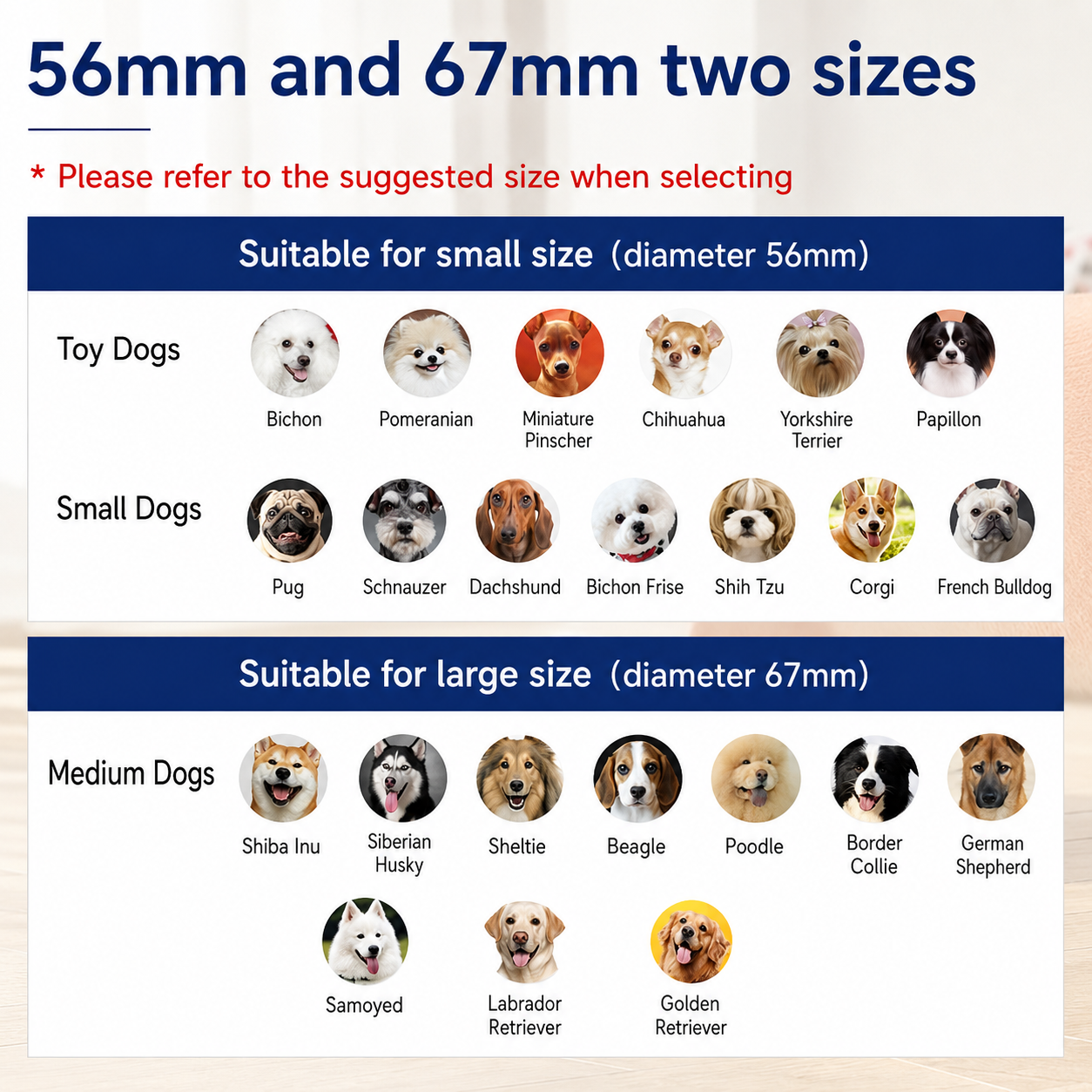 Smart Glow Bounce Dog Ball