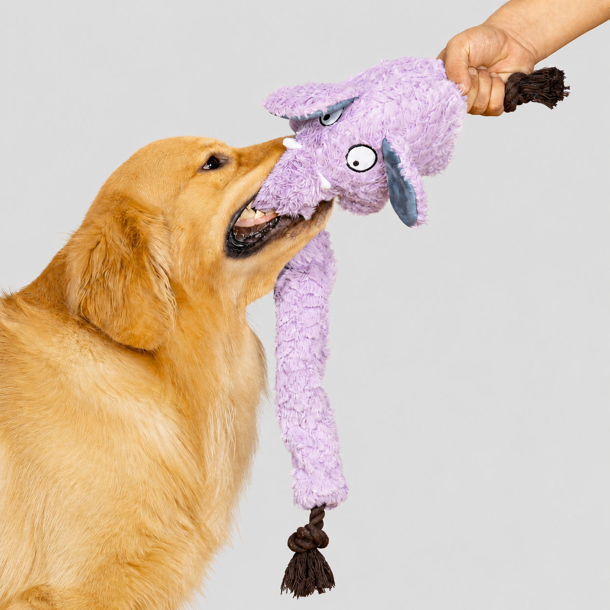 Long-Nose Elephant Treat Tug