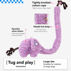 Long-Nose Elephant Treat Tug