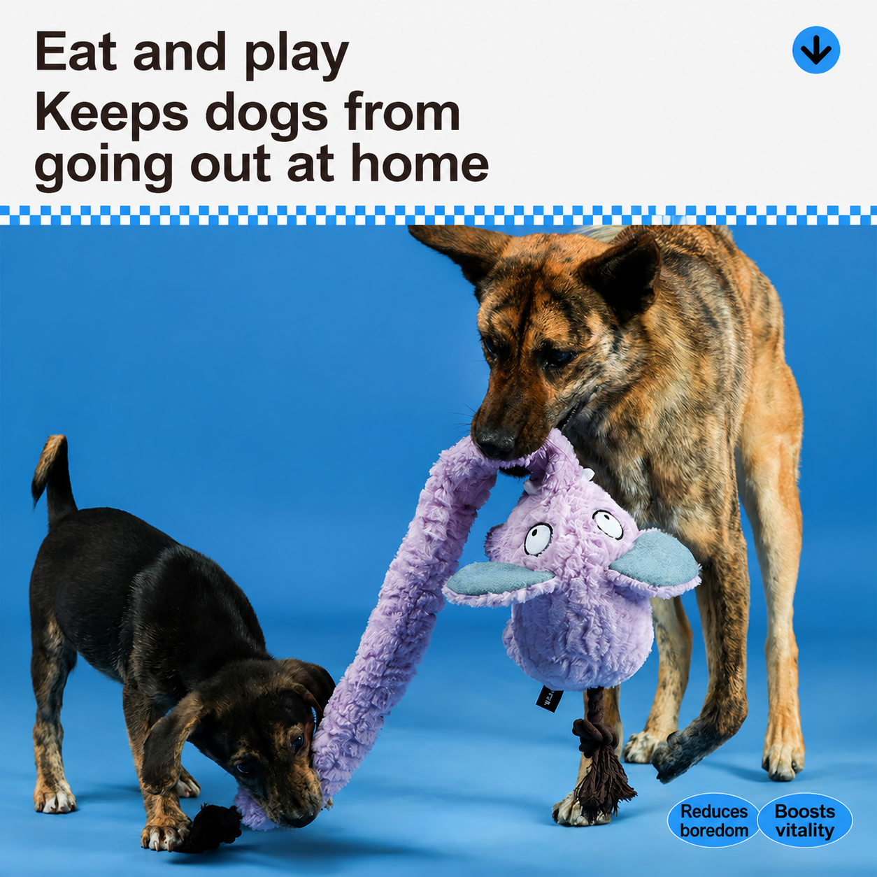 Long-Nose Elephant Treat Tug