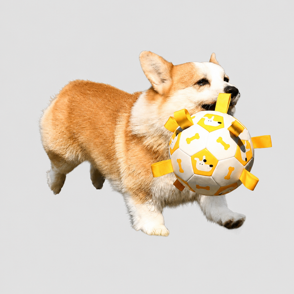 Bite-resistant Dog Soccer Ball
