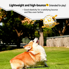 Bite-resistant Dog Soccer Ball
