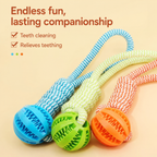 Durable Rope Dental Ball