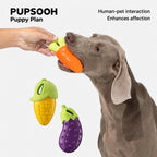 Veggie Squeak Chew Toy