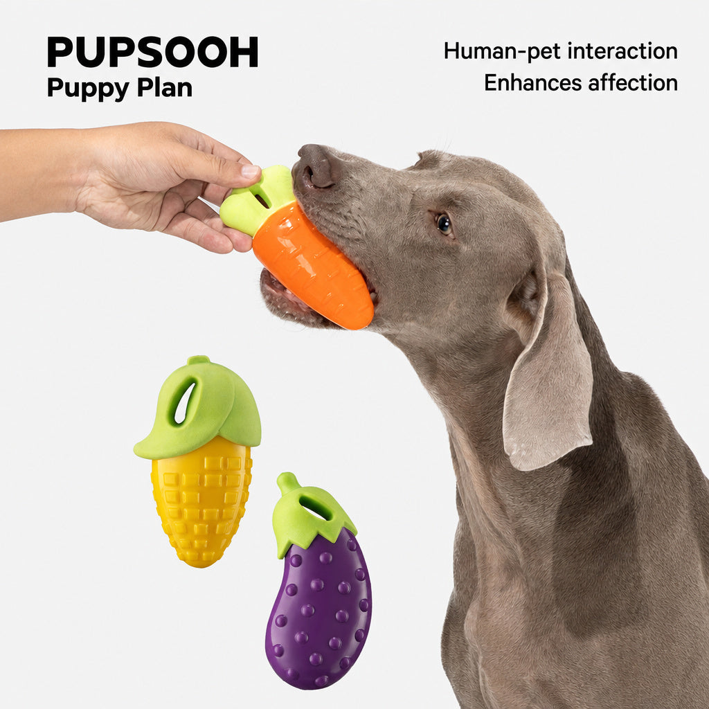 Veggie Squeak Chew Toy