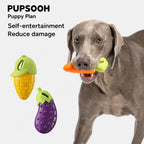 Veggie Squeak Chew Toy