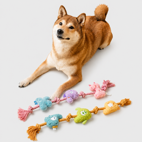 Color-pop Rope-knot Plush Chew