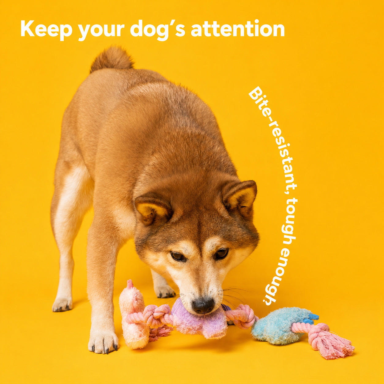 Color-pop Rope-knot Plush Chew