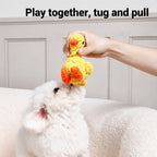 Handwoven Cotton Rope Toy