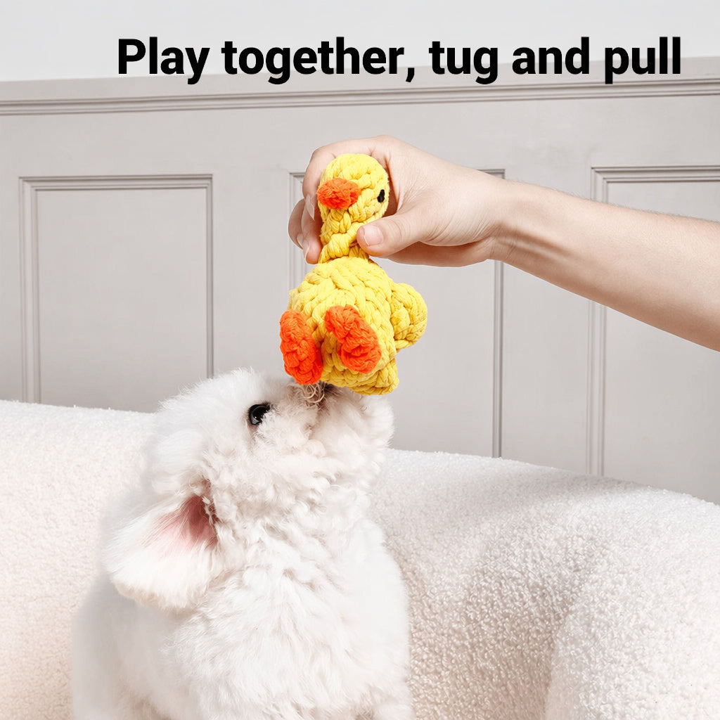Handwoven Cotton Rope Toy