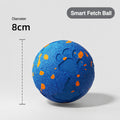 Chew-resistant Interactive Dog Ball