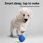 Chew-resistant Interactive Dog Ball
