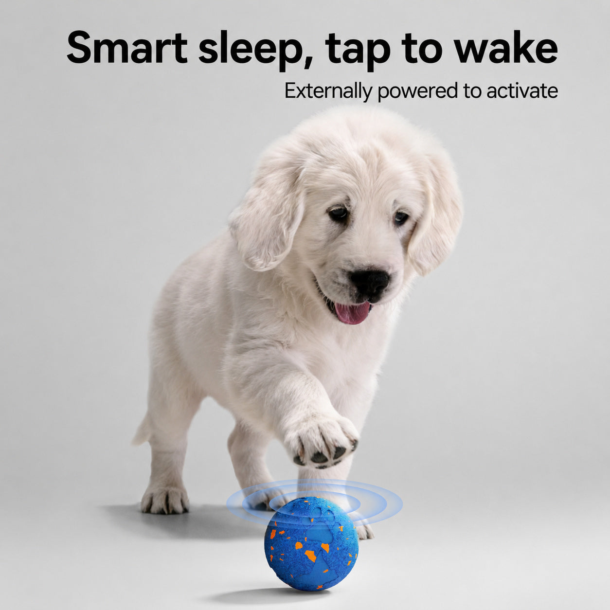 Chew-resistant Interactive Dog Ball