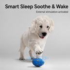 Auto-play Rechargeable Dog Ball