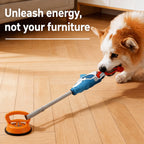 Suction-cup Squeaky Tug Toy