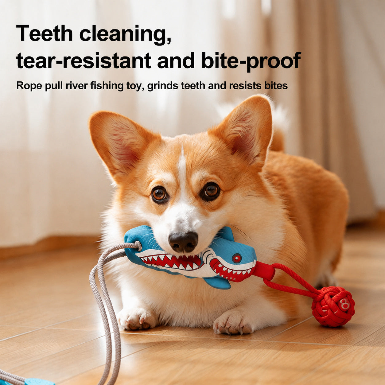 Suction-cup Squeaky Tug Toy