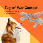 Safari Rope Squeak Tug Toy