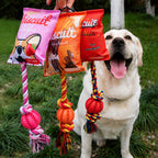 Squeaky Snack-bag Rope Toy