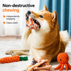 Heavy-duty Tug Rope Chew