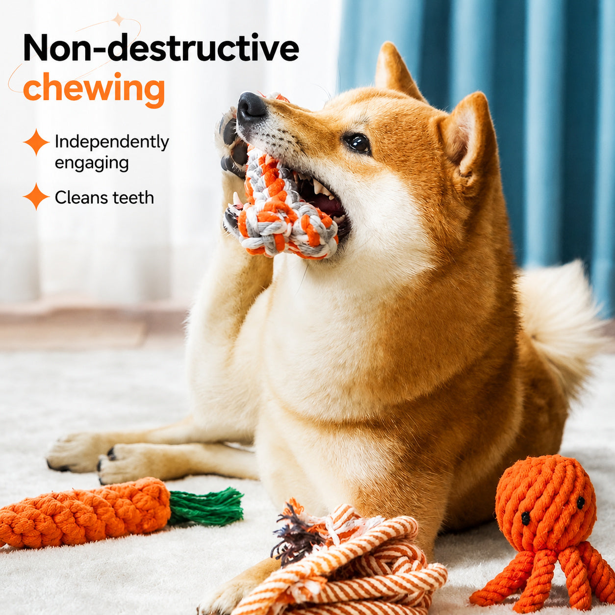 Heavy-duty Tug Rope Chew