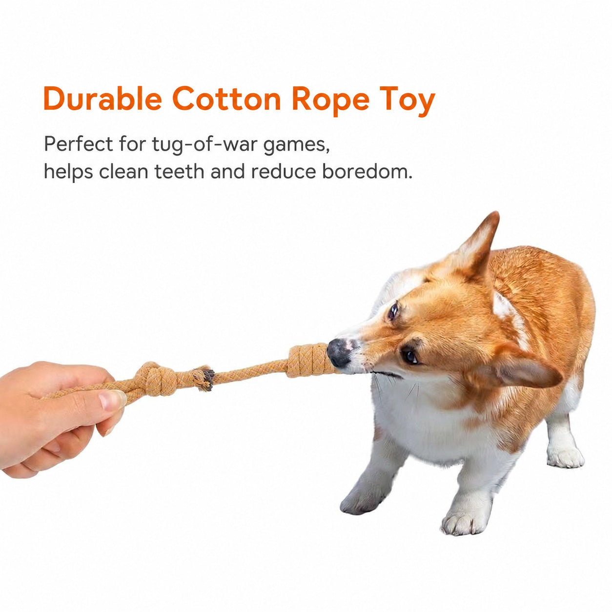 Heavy-duty Tug Rope Chew
