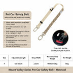 Bungee Car Seatbelt Leash