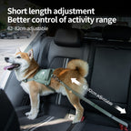 Bungee Car Seatbelt Leash