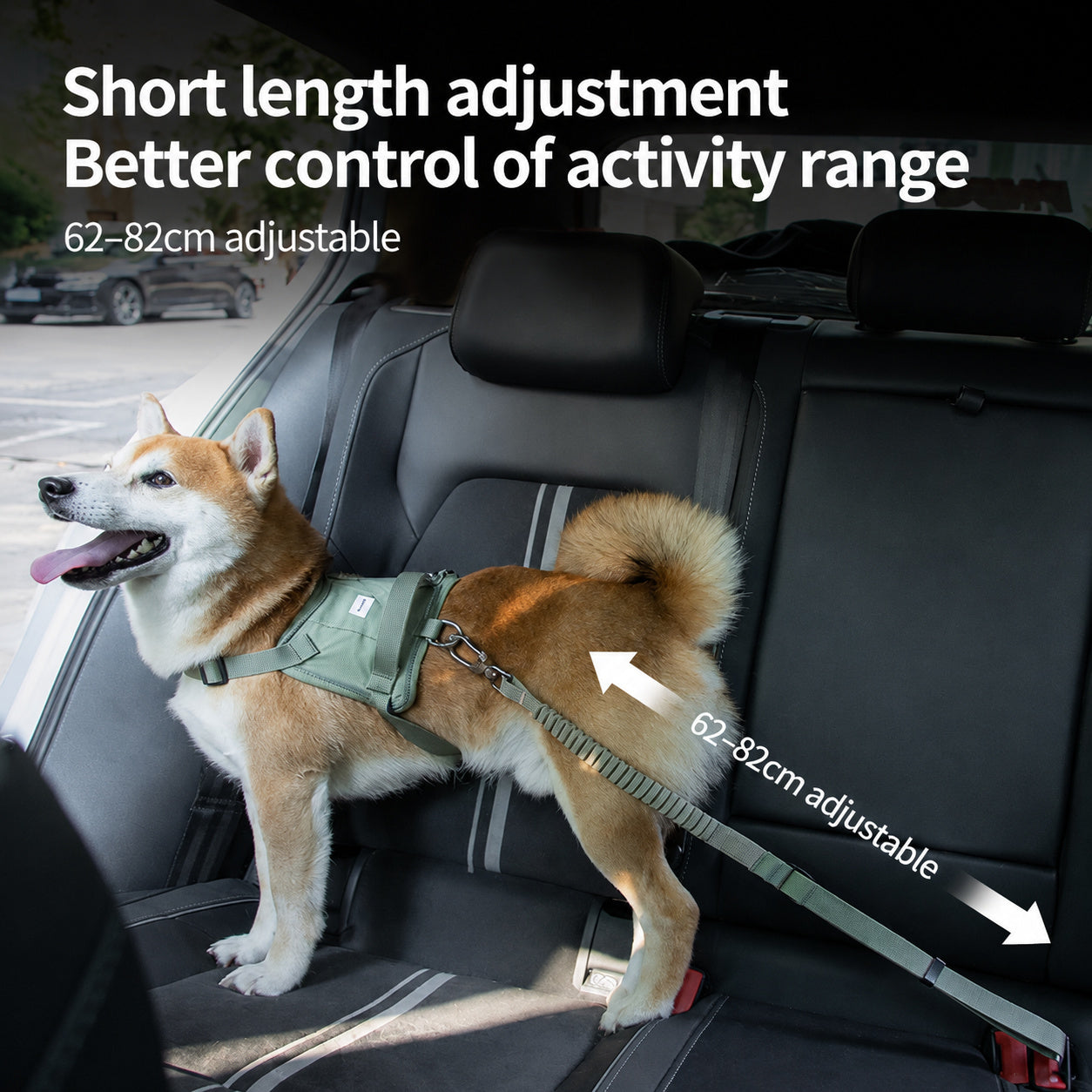 Bungee Car Seatbelt Leash