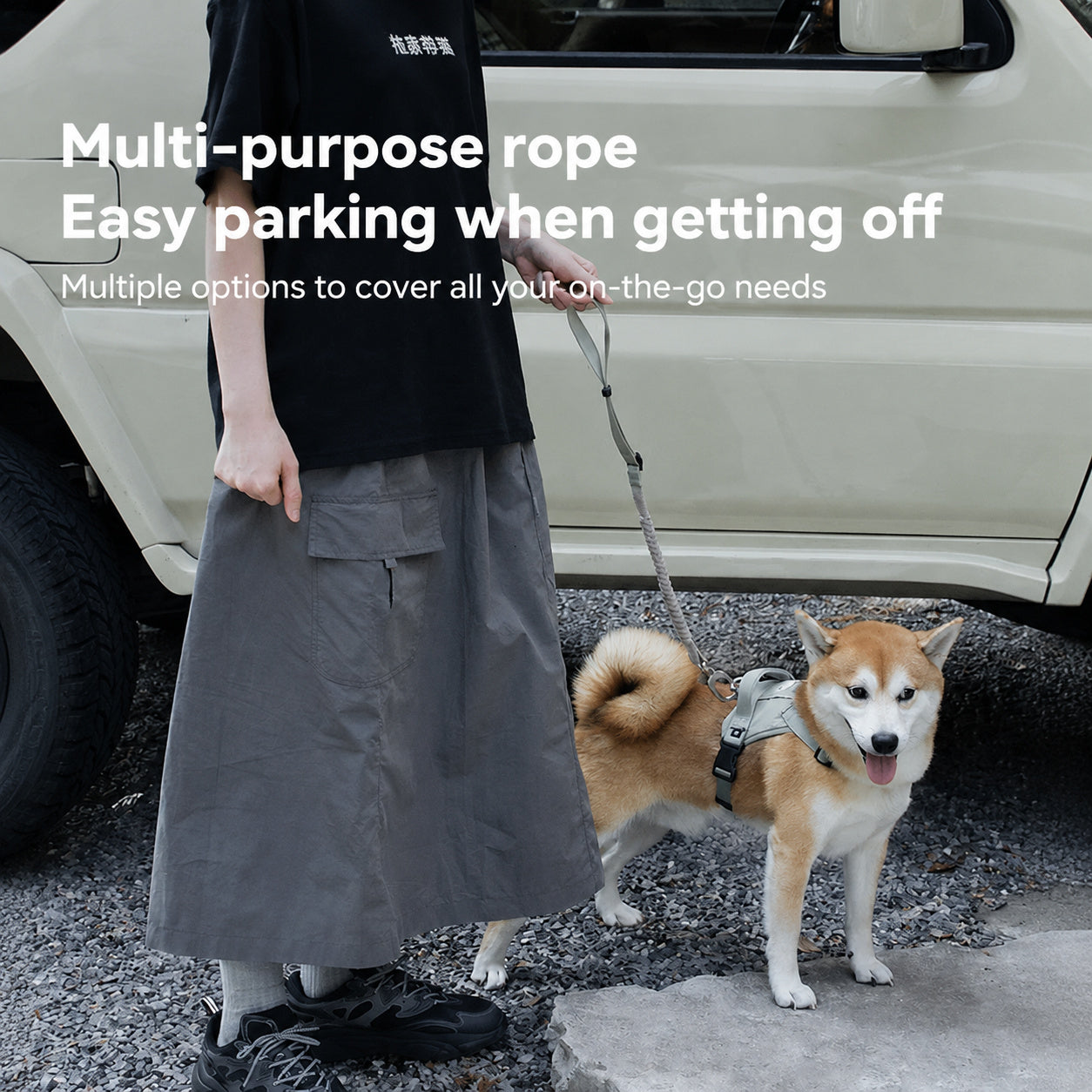 Bungee Car Seatbelt Leash