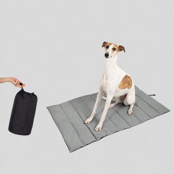 Waterproof Travel Dog Mat