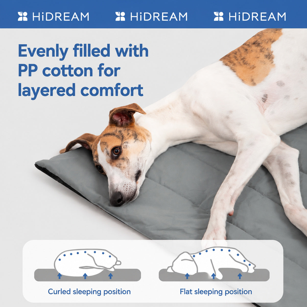 Waterproof Travel Dog Mat