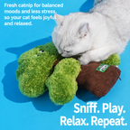 Pine tree catnip hugger toy