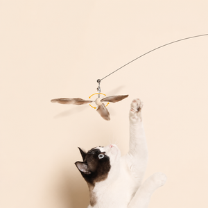Feather Cat Teaser Wand Toy