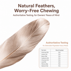 Feather Cat Teaser Wand Toy