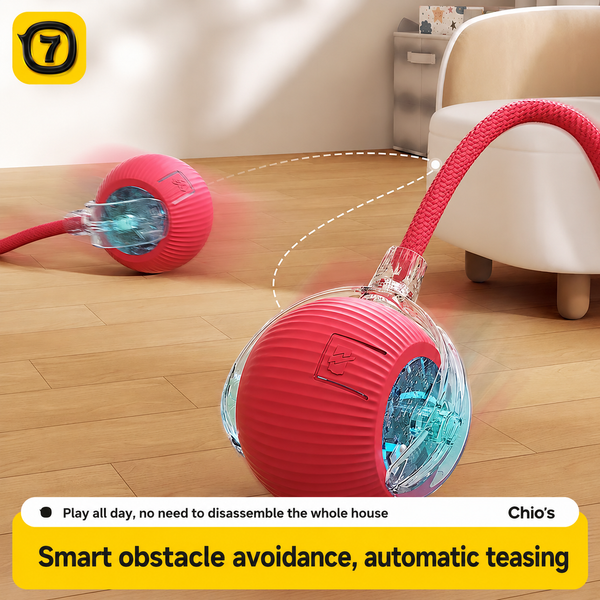 Smart Cat Teaser Ball