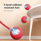 Smart Cat Teaser Ball